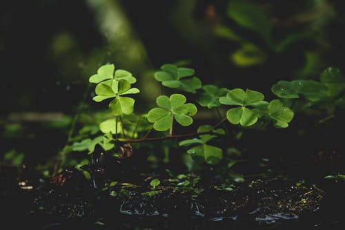 Moudrost sama nepřijde, moudrosti musí každý jít trochu naproti.